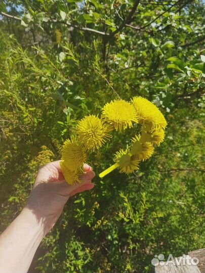 Ободок одуванчик