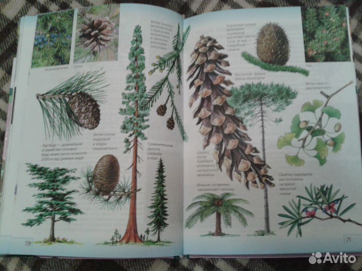 Биология 7кл., Химия 10 кл., Справочник по орфогр