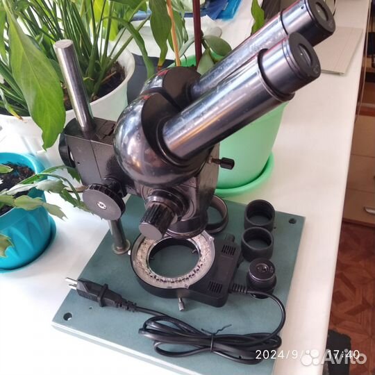 Мбс-2 микроскоп