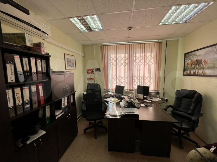 Торговая площадь, 230 м²