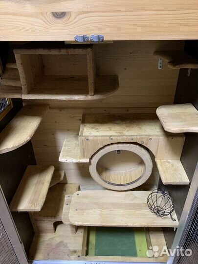 Витрина для шиншилл