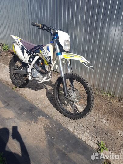 Avantis fx 250 lux