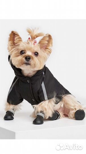 Ботинки для собак Zoozavr