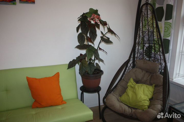 Горшки для цветов 15л, 4., 2л, 1.5л, 1л, 0,6, 0,35