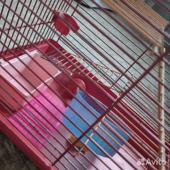 Клетка для грызунов с домиком, поилкой и колесом
