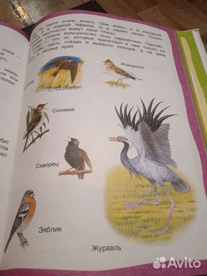 Энциклопедия подготовка к школе и прописи