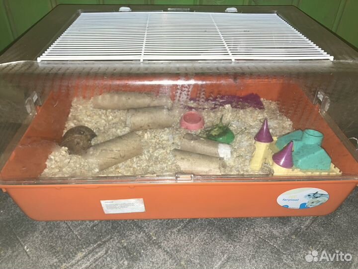 Клетка для грызунов ferplast