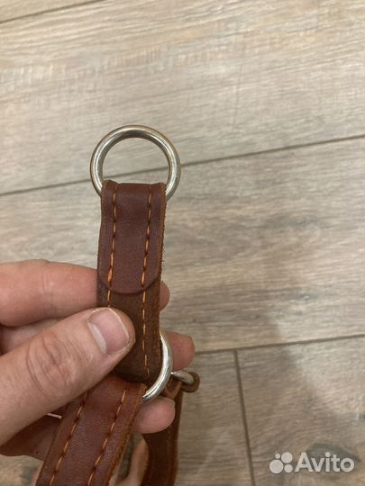 Ошейник для собак