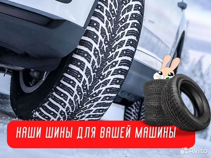 Nokian Tyres Hakkapeliitta 10p 205/65 R16