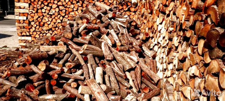 Дрова с Приморска