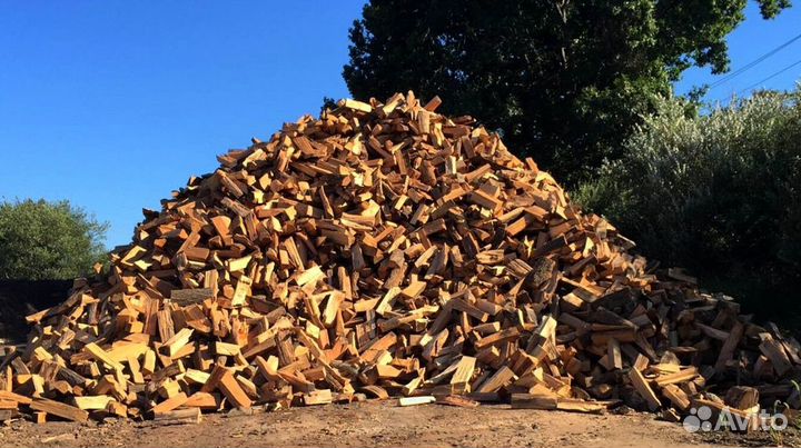 Дрова сухостой