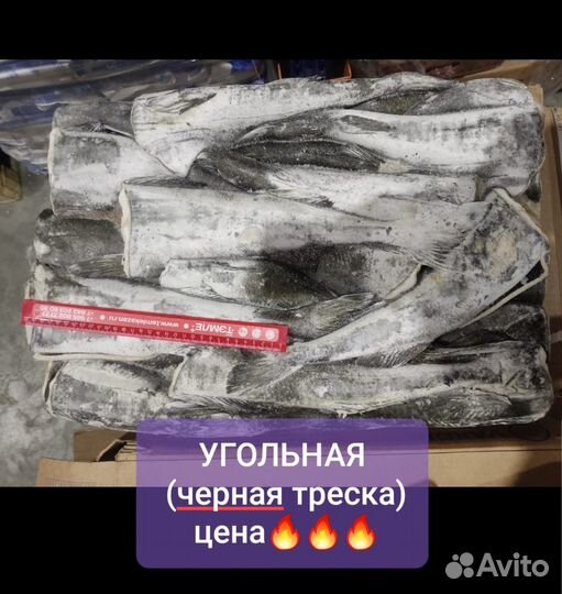 Свежемороженная рыба и морепродукты