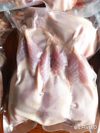 Перепелки и инкубационное яйцо