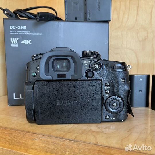 Panasonic gh5