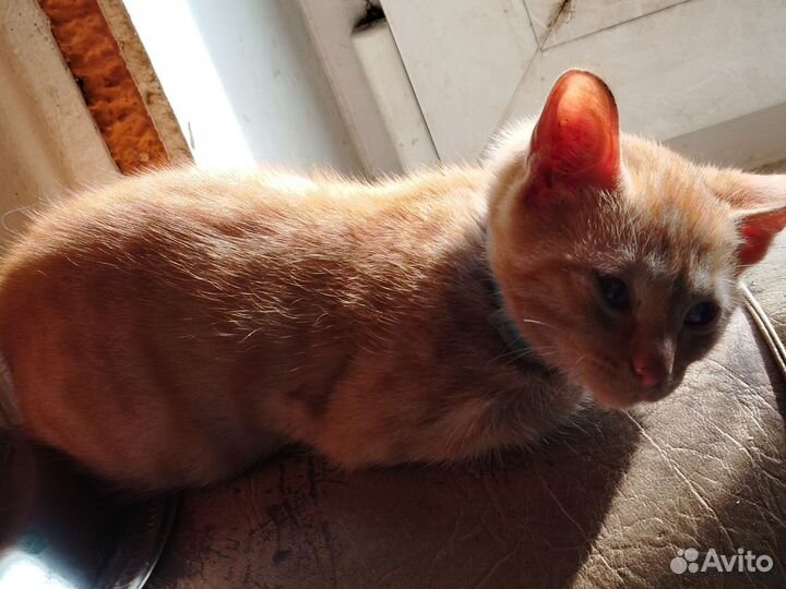 Маленькое Солнышко