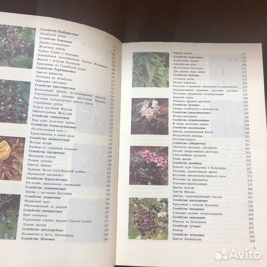 Редкие и исчезающие растения. 1989 г. Артамонов