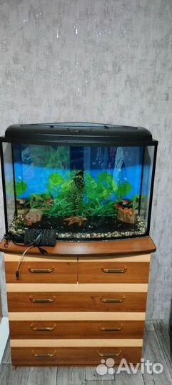 Аквариум