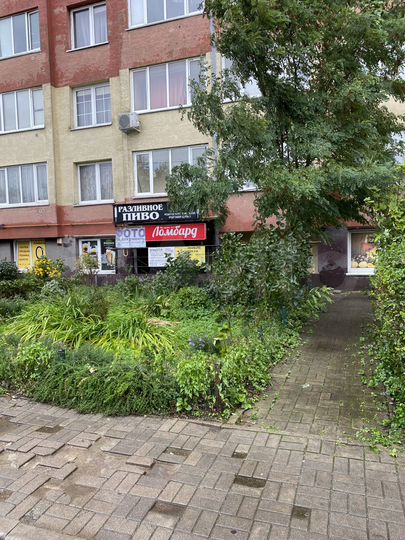 Свободного назначения, 102.1 м²