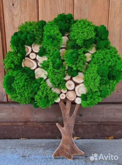 Стабилизированный мох производство, эко панели