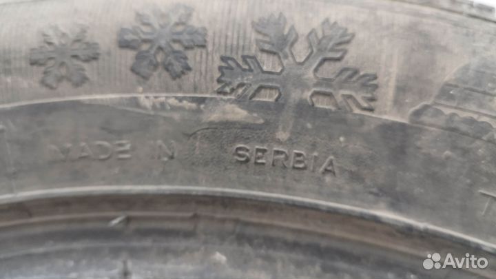 Tigar Winter 205/55 R16