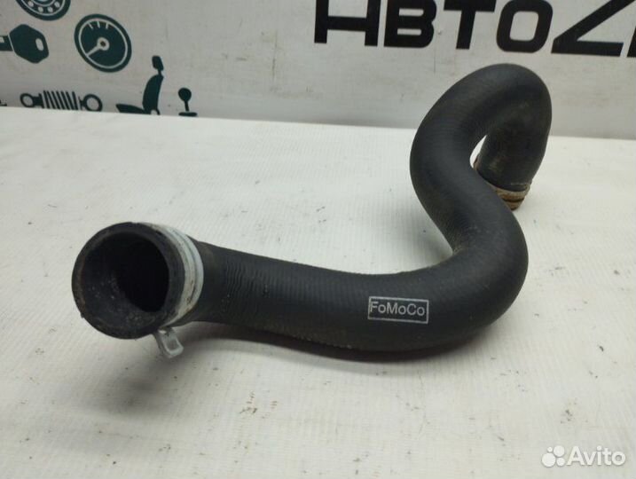 Патрубок радиатора нижний Ford Focus хэтчбек 2010