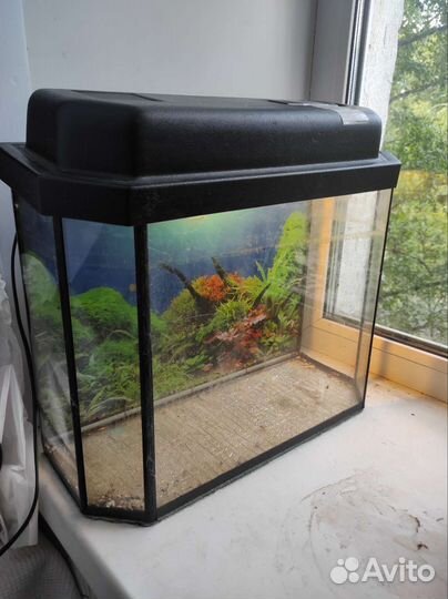 Аквариум с подсветкой 20-25 литров