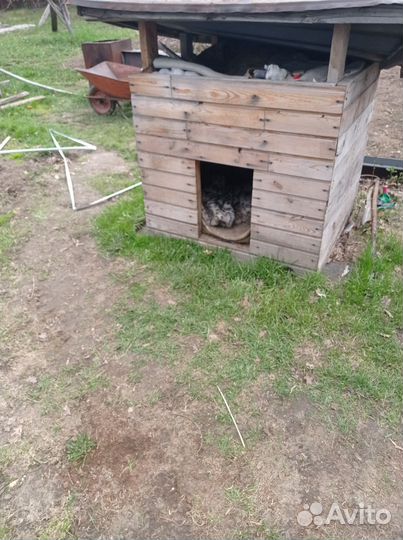 Будка для собаки утепленная