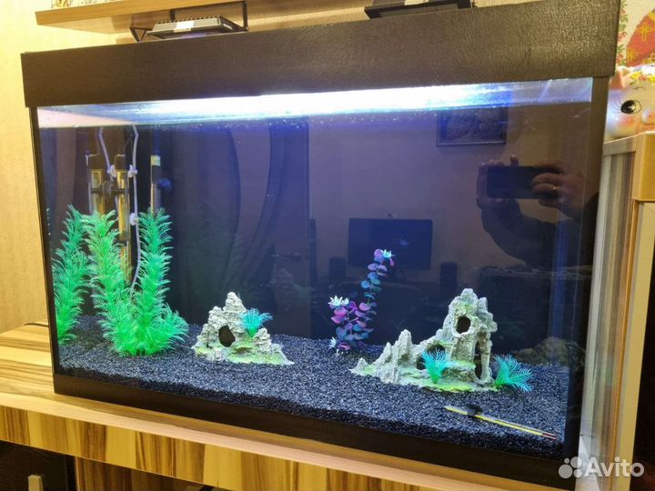 Аквариум