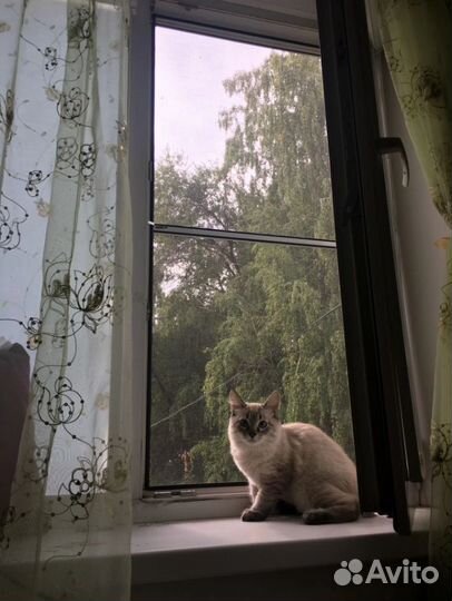 Москитная сетка