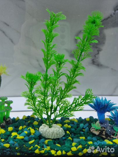 Аквариум для петушка 8 л с украшениями