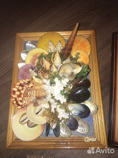 Картины из ракушек