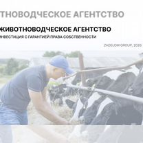 Животноводческое агентство в городе, Мале