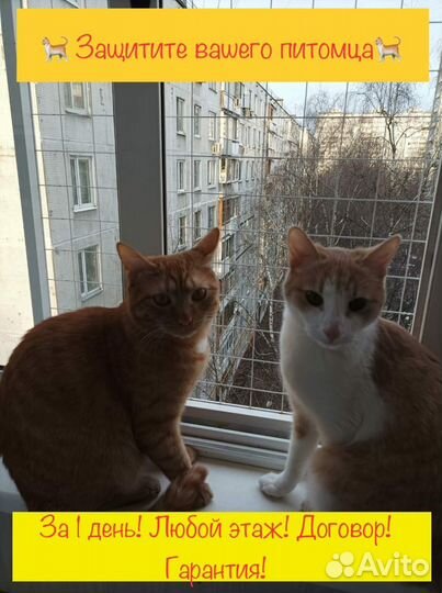 Решетки антикошка