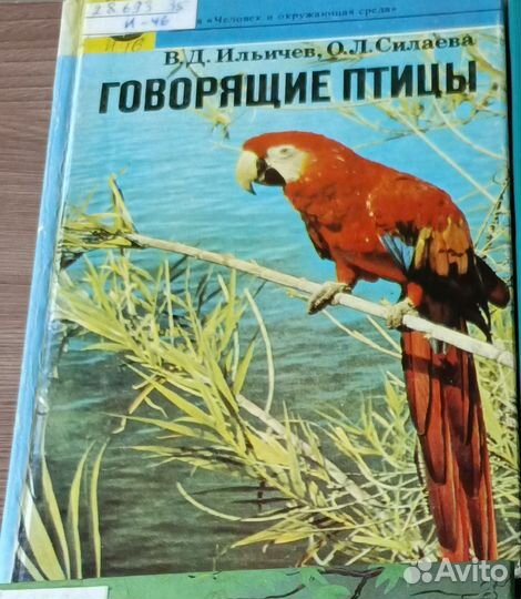 Книги о птицах