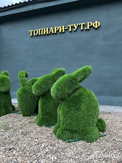 Топиари Топиарные фигуры Садовые фигуры