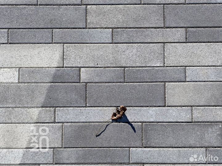 Тротуарная плитка, бордюры с работой под ключ