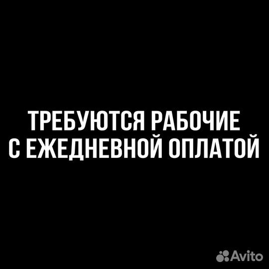 Работа с ежедневной оплатой разнорабочим
