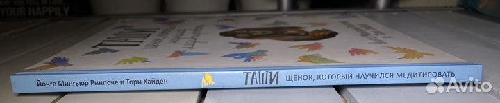 Таши щенок, который научился медитировать