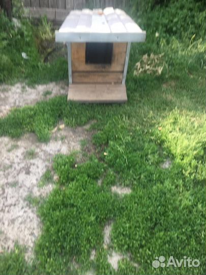 Будка для собаки