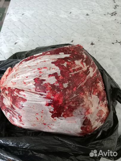 Обрезь для собак