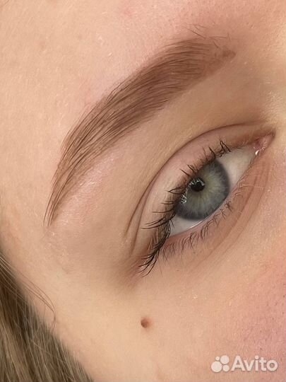 Мастер бровист