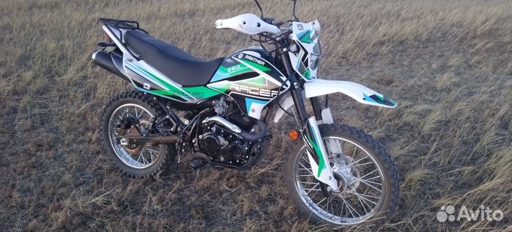 Racer Panther 250