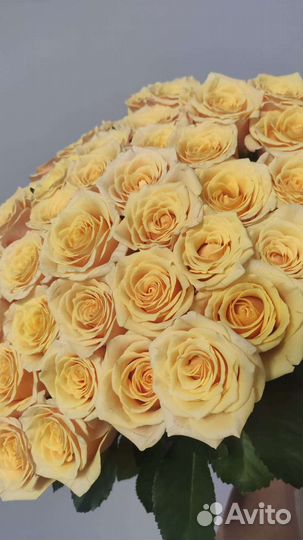 Букеты из 101 розы