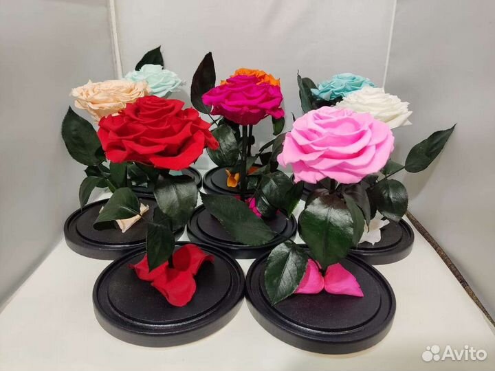 Роза в колбе