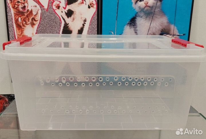 Террариум/контейнер