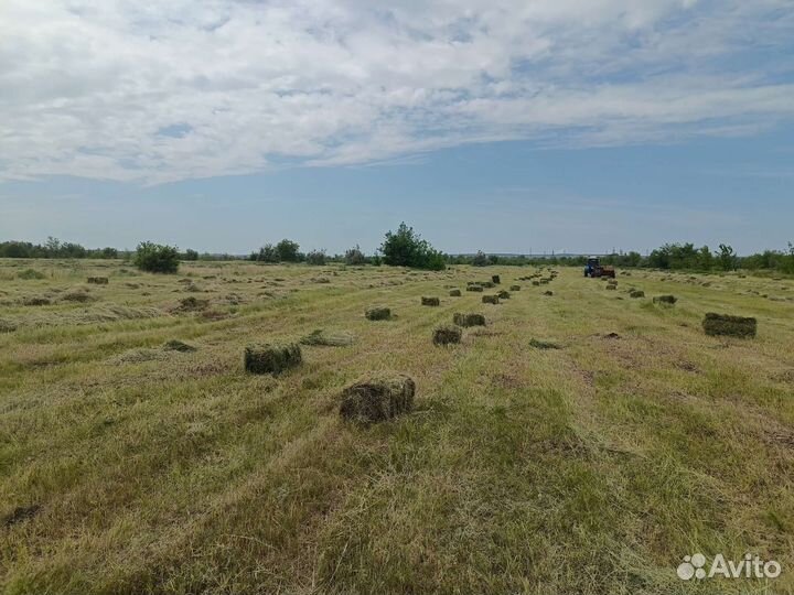 Сено в тюках. Разнотравие