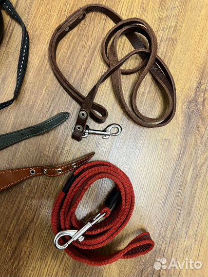 Ошейник селедка, поводок, рулетка 8м