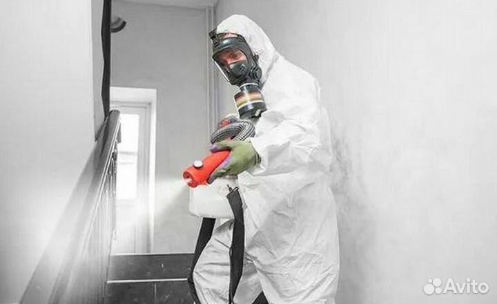 Средство для Уничтожения клопов травли тараканов, блох