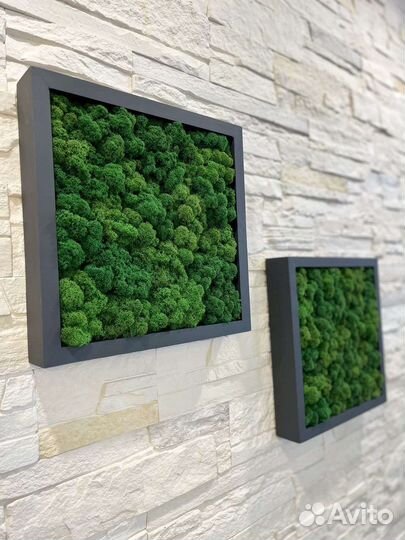 Панно со стабилизированным мхом 30 на 30 см