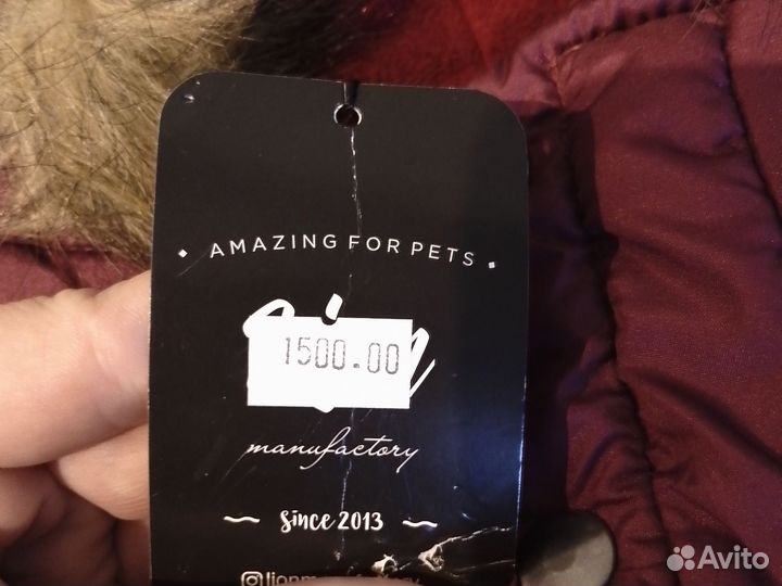 Одежда для маленьких собак